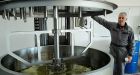 Swiss cow feed fights global warming by cutting flatulence in livestock