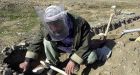 US discovers huge Afghan mineral wealth: report