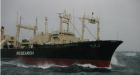 Future of commercial whaling ban rests with Japan