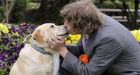Australian Man Marries His Pet Dog
