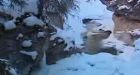 Hikers save man from icy Banff creek