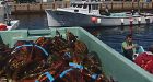 Storm wrecks lobster traps in southeast N.S.