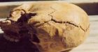 Early Bronze Age battle site found on German river bank