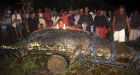 Giant croc to become star of Philippines tourist park