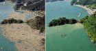Chemicals in tsunami debris could pose coastal threat