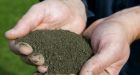 Earth Day: Is sewage sludge safe for farm fields'