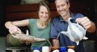 Vancouver Island tea farmers eagerly await first harvest
