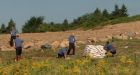 3 WW II-era bombs found on Corrections Canada site