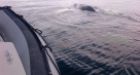 Cheticamp whale rescued by DFO and Coast Guard