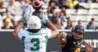 Tiger-Cats halt Roughriders' 7-game win streak
