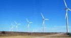 Wind turbines kill fewer birds than do cats, cell towers