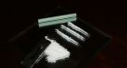 Vatican car seized with cocaine, cannabis
