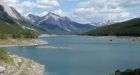 Federal government sued after tree falls on family camping in Jasper