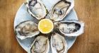 Raw oysters lead to 31 cases of sickness: health authority