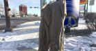 The frozen pants: a Calgary mystery